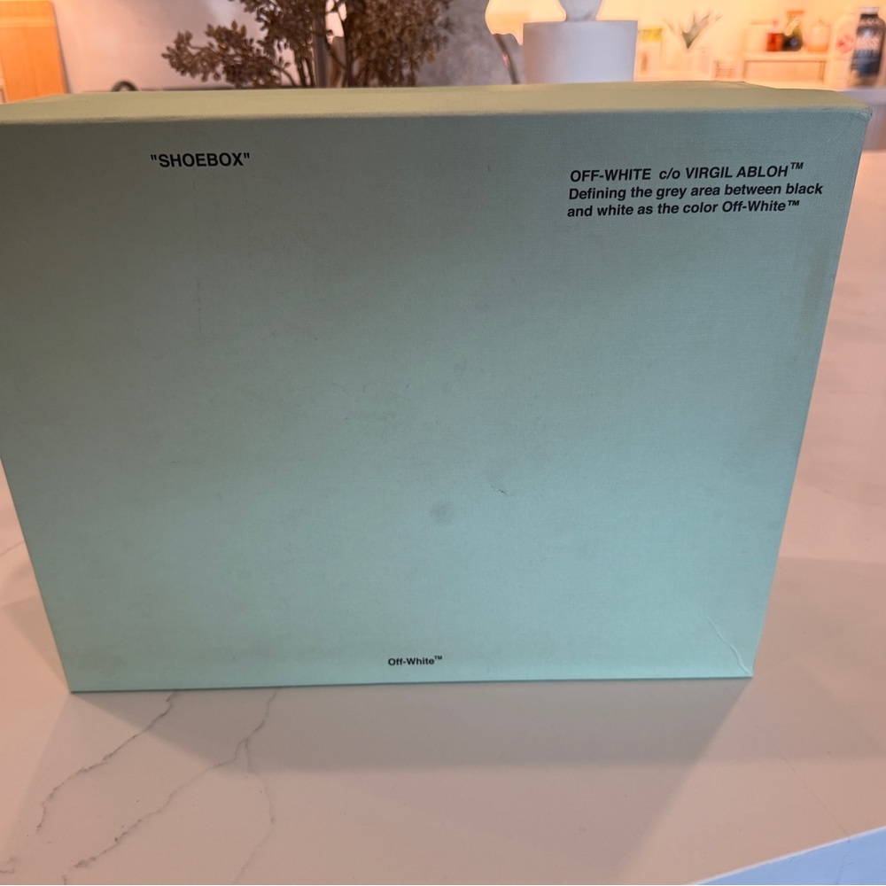 Off-White Light Green Shoebox